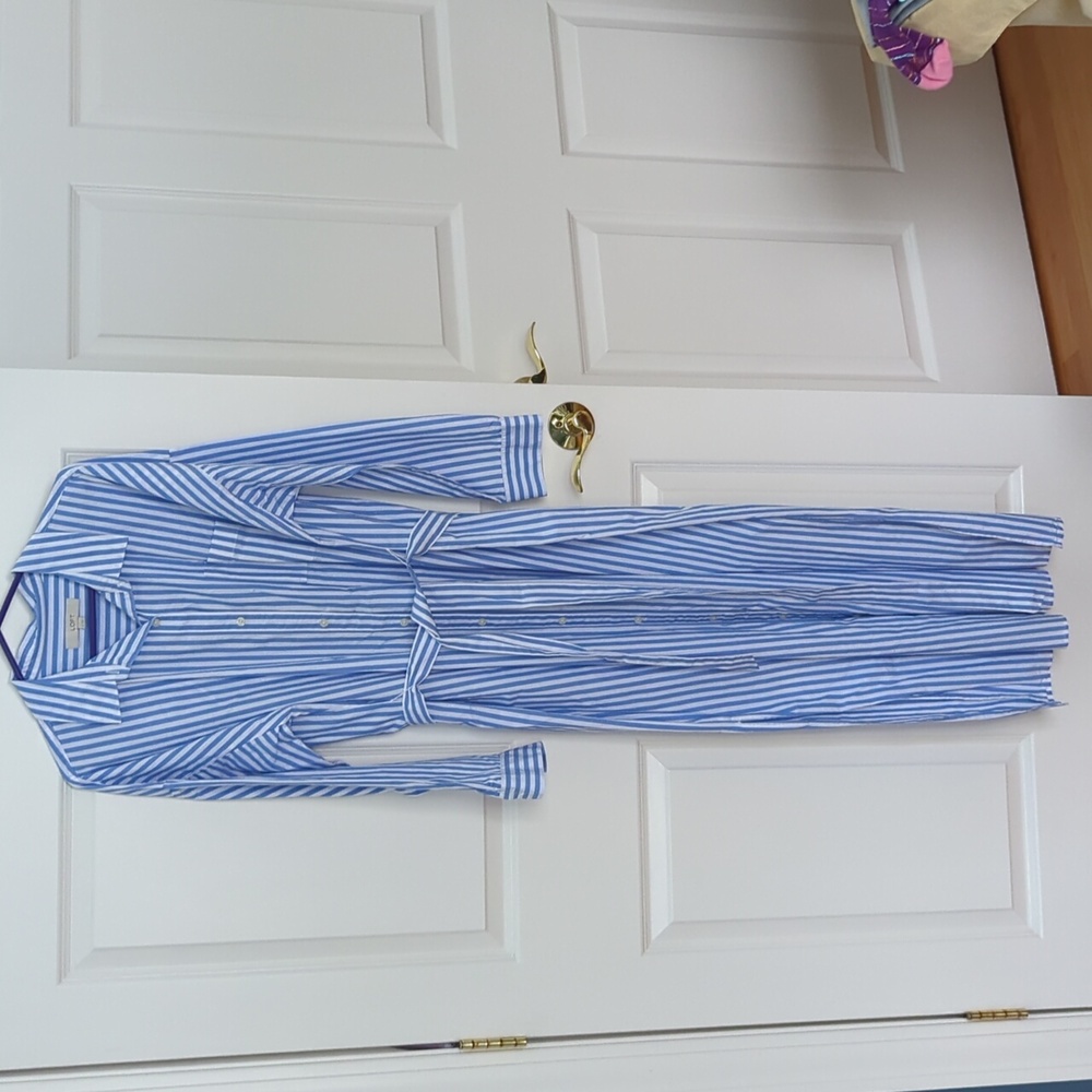 Blue Striped Shirt Dress
